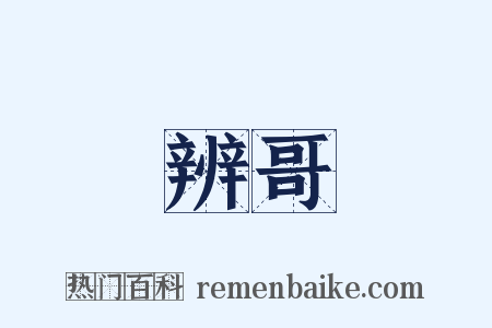 辨哥是什么意思的图片